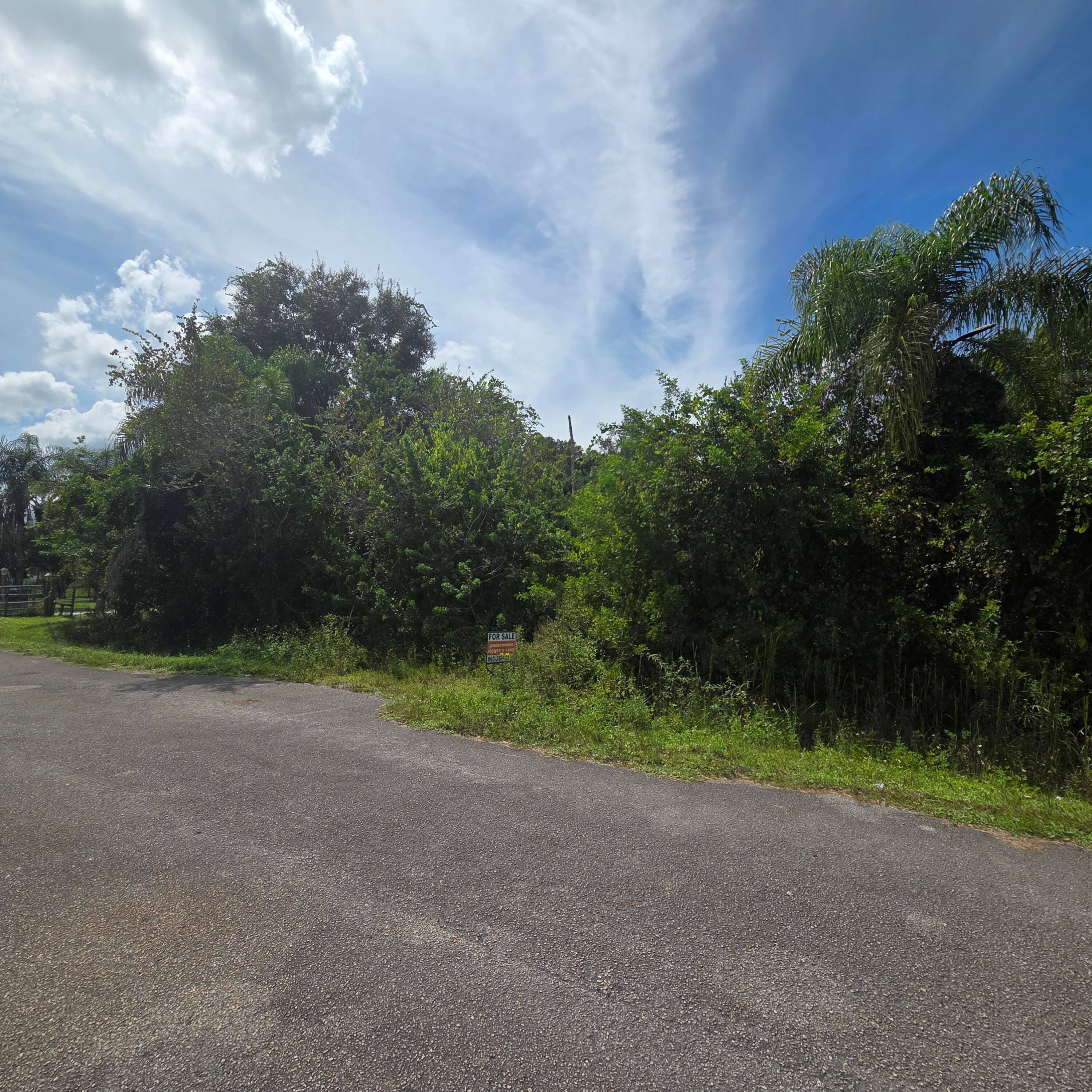 Nice large 125 x 125ft lot in Basswood.