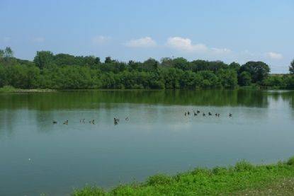 Scuttle Hole rd, Bridgehampton NY 11932