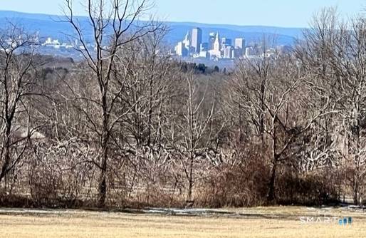 This property offers 13. 45 acres of rural residential land situated at 31 Accornero Lane, South Glastonbury.