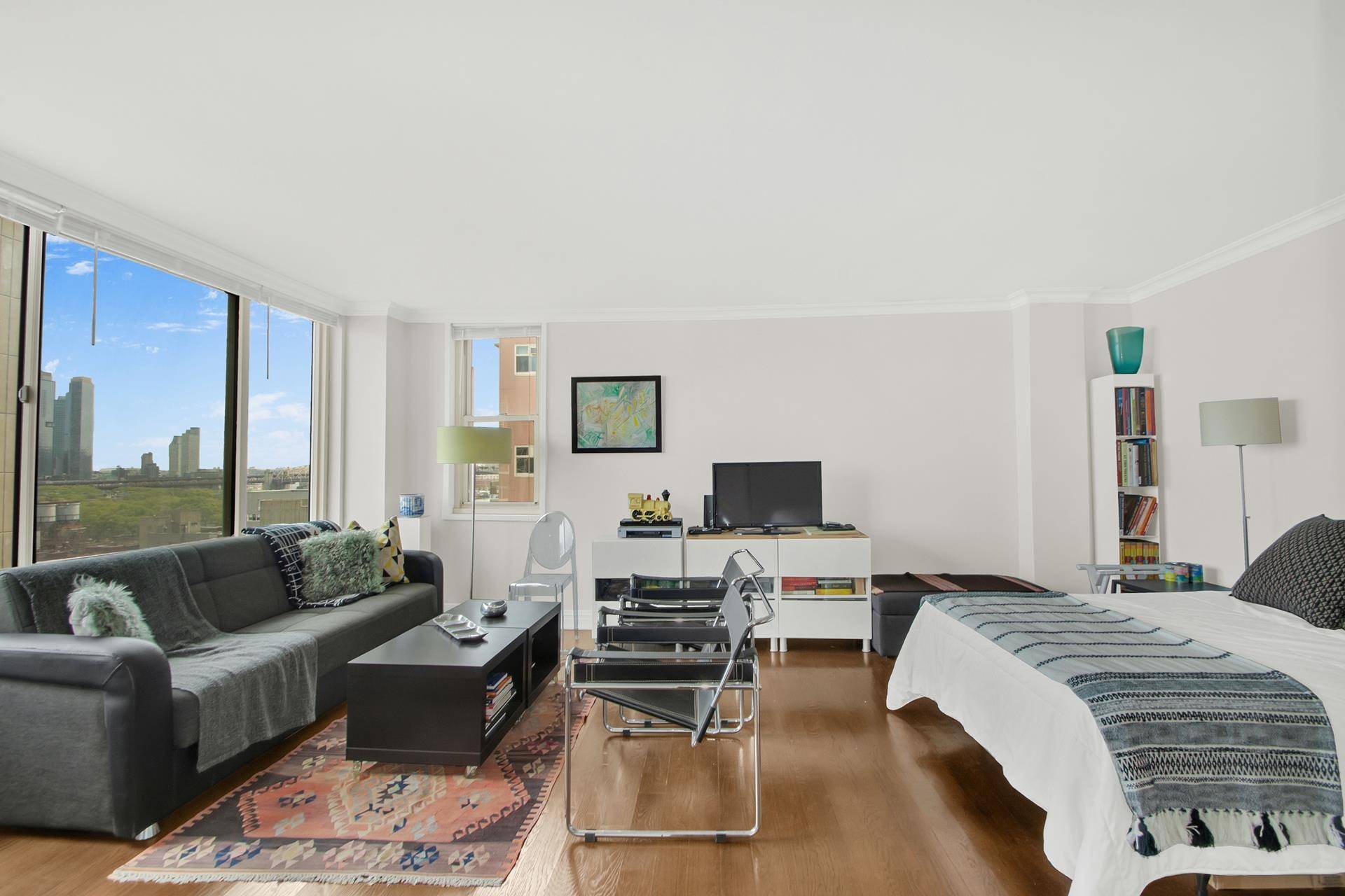 Welcome home to this spacious, sun filled, modern studio apartment !