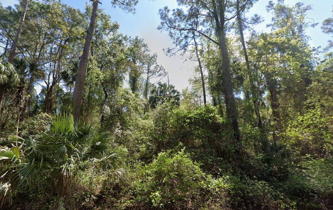 This 0. 23 acre lot in the desirable Paradise Lakes community offers the perfect opportunity to create your ideal home or getaway.