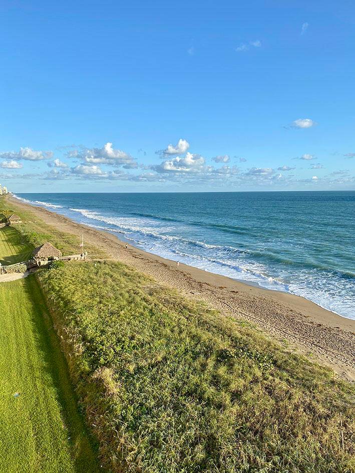 Oceanfront penthouse condo available November and December !