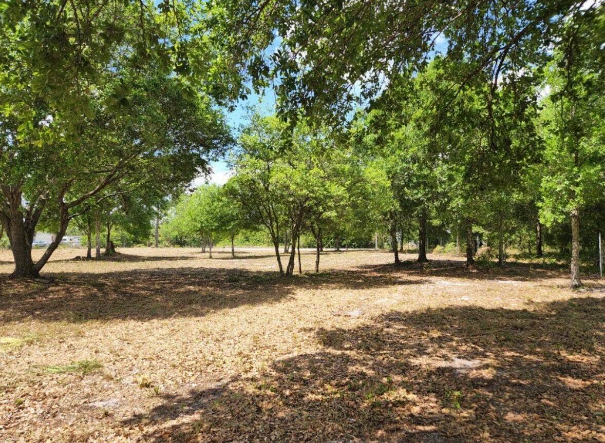 Very well maintained 1. 25 acre lot, lot is leveled and very well groomed, it also has gravel lining from the front all the way to the back of the ...