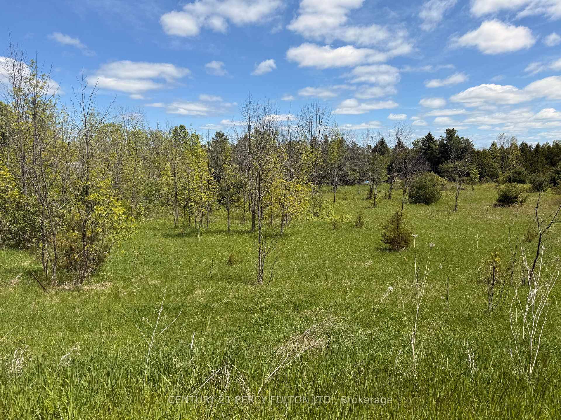 Discover the charm of rural living just 3 minutes from the heart of Warkworth with this scenic 1.