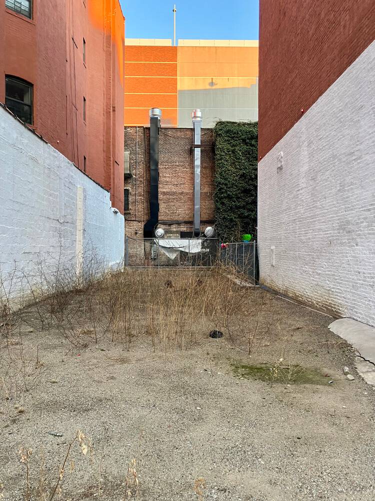 316 PLEASANT AVENUE BETWEEN EAST 116 STREET and EAST 117 STREET IN NEW YORK CITY'S EAST HARLEM NEIGHBORHOOD.