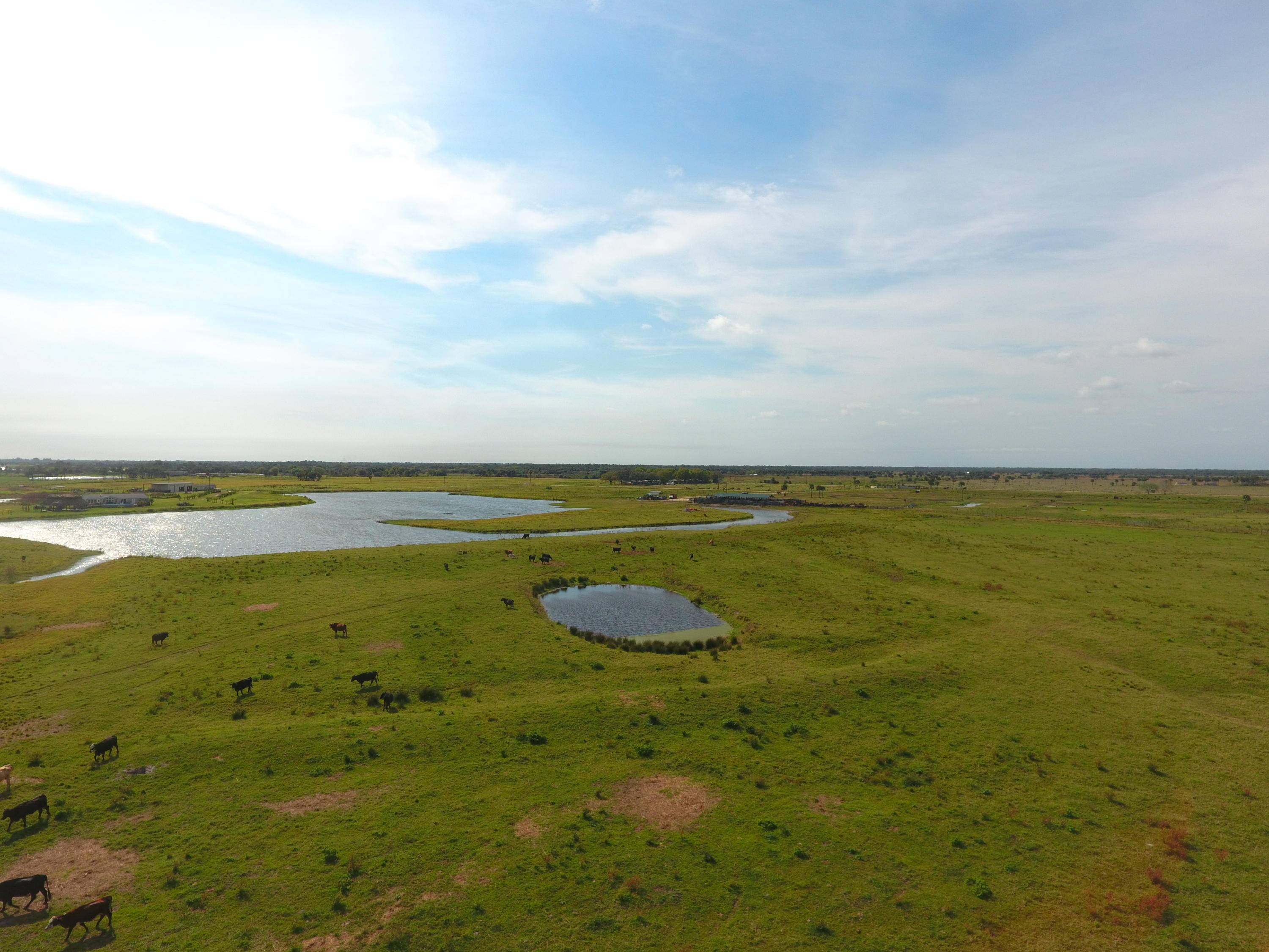 Located in Okeechobee, FL near downtown, this 1, 177 acre property lush with Bahiagrass, Floralta and Stargrass for cattle to feast on.
