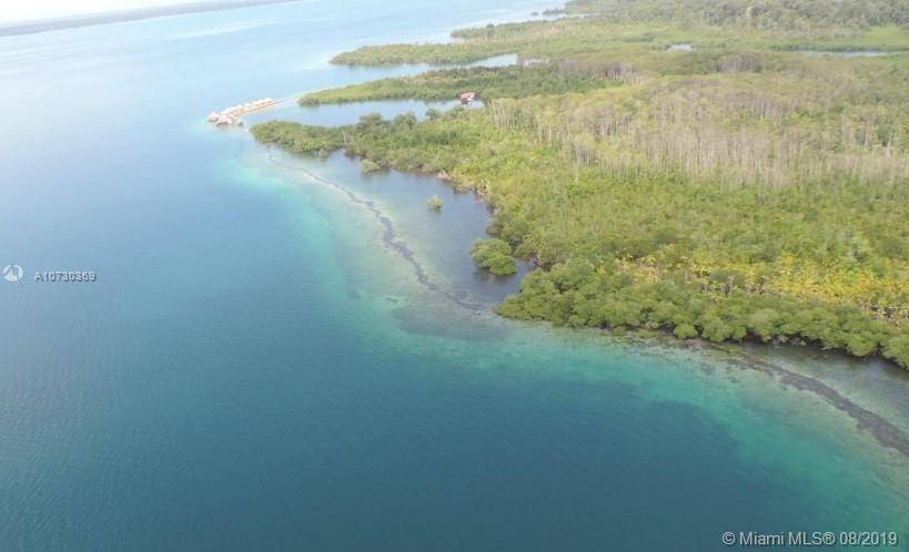 FANTASTIC 98. 84 ACRES OF VIRGIN GREEN FOREST LAND WITH 0.