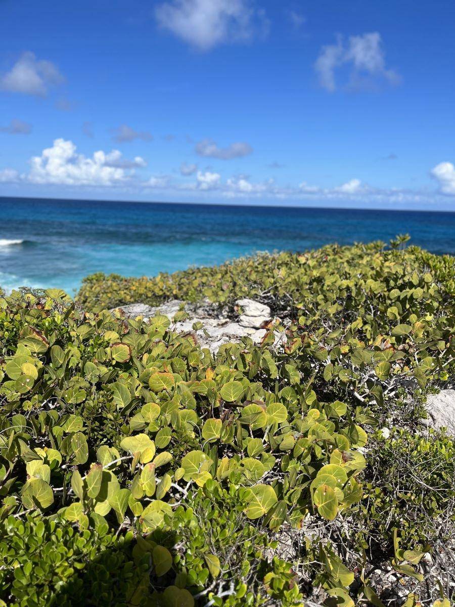 2 ACRES IN MILLERTON'S Land Long-Island-Bahamas