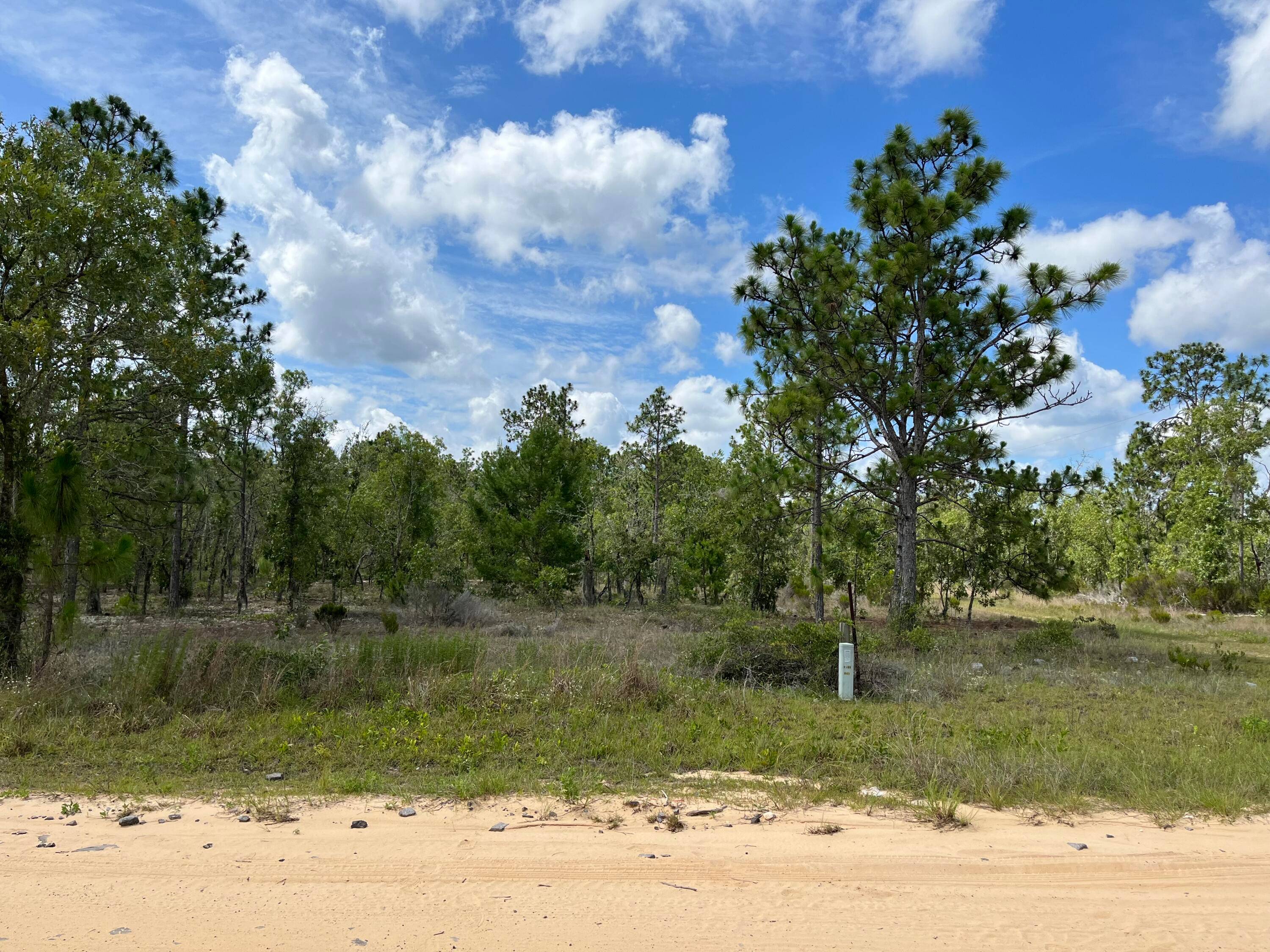 Don't Miss out on nice corner double lot 2105 2107 with power poles on this street.