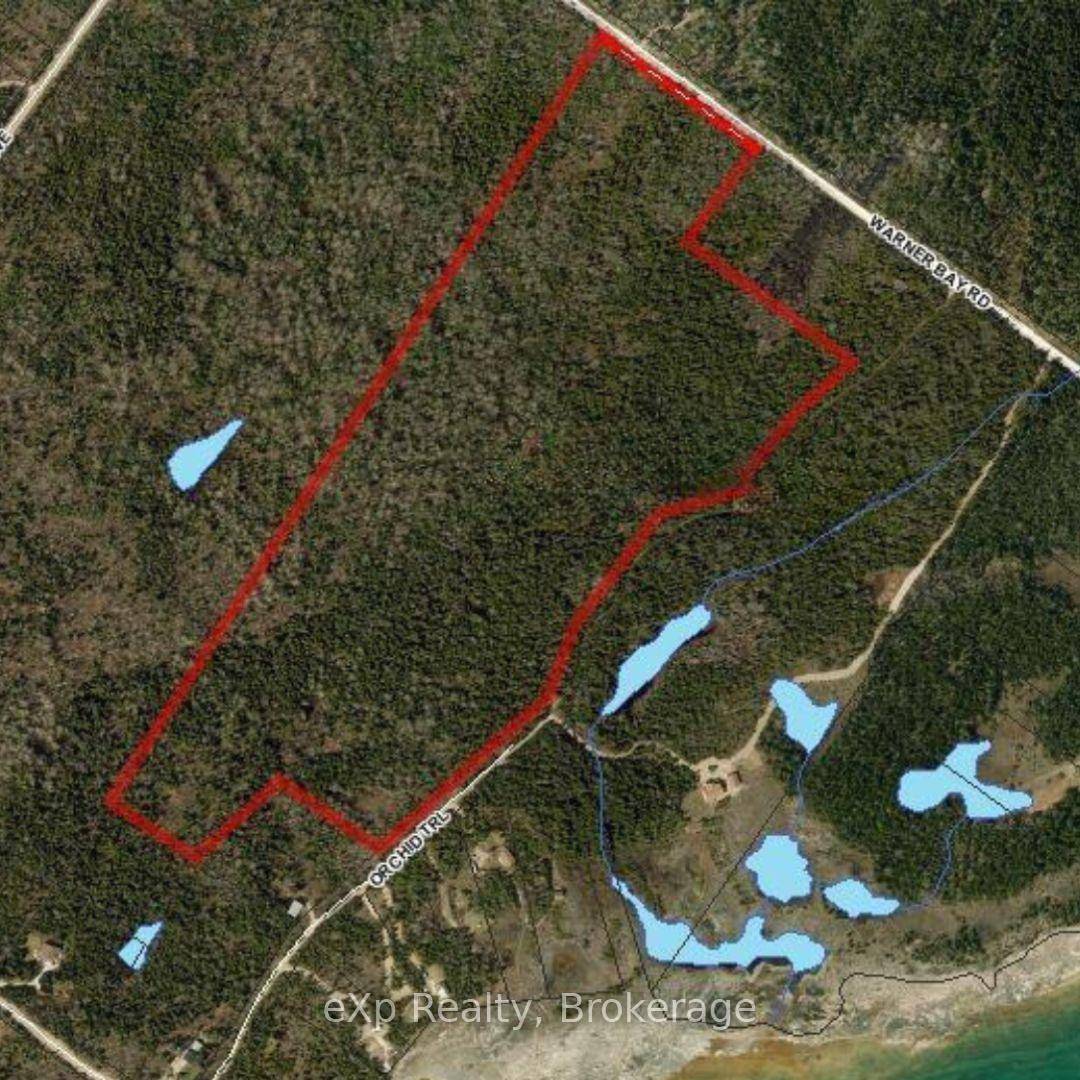 38. 3 secluded, wooded acres located on the Bruce Peninsula.