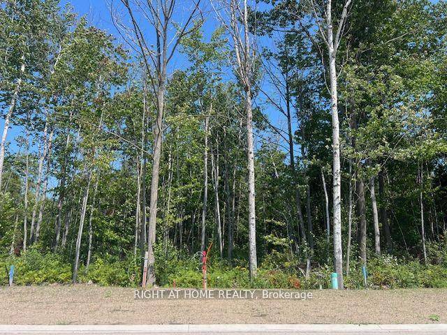 Located on the highly desirable west end of Wasaga Beach, this 85 foot building lot offers an exceptional opportunity.