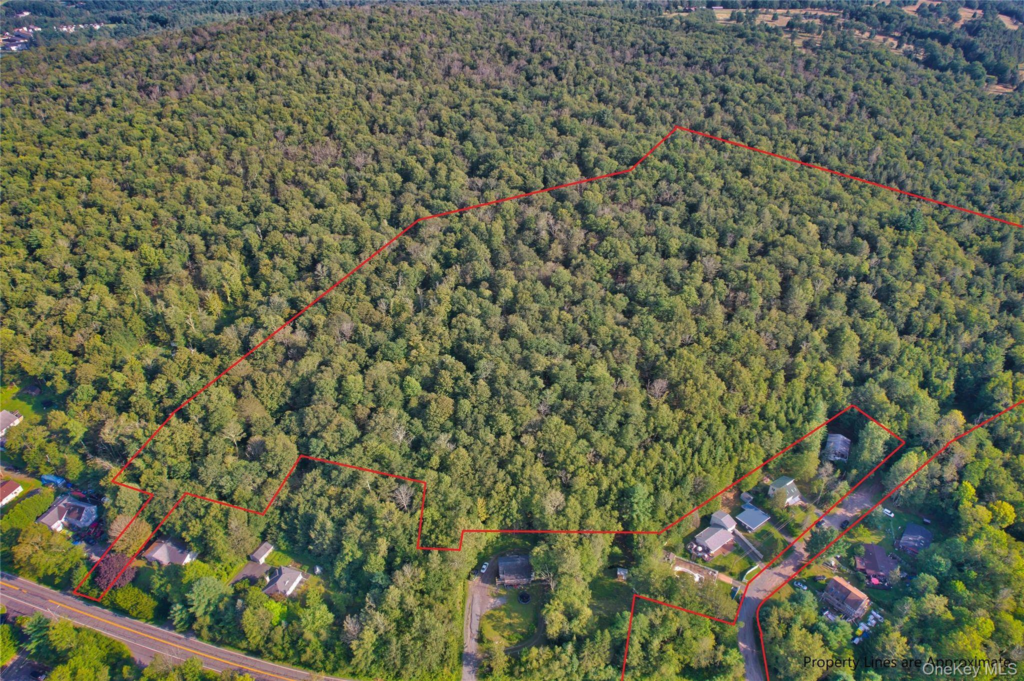 Prime 23 Acre Property with Development Potential or Private Estate Opportunity Discover the possibilities with this stunning 23 acre parcel, ideally situated on Briscoe Road in one of the most ...