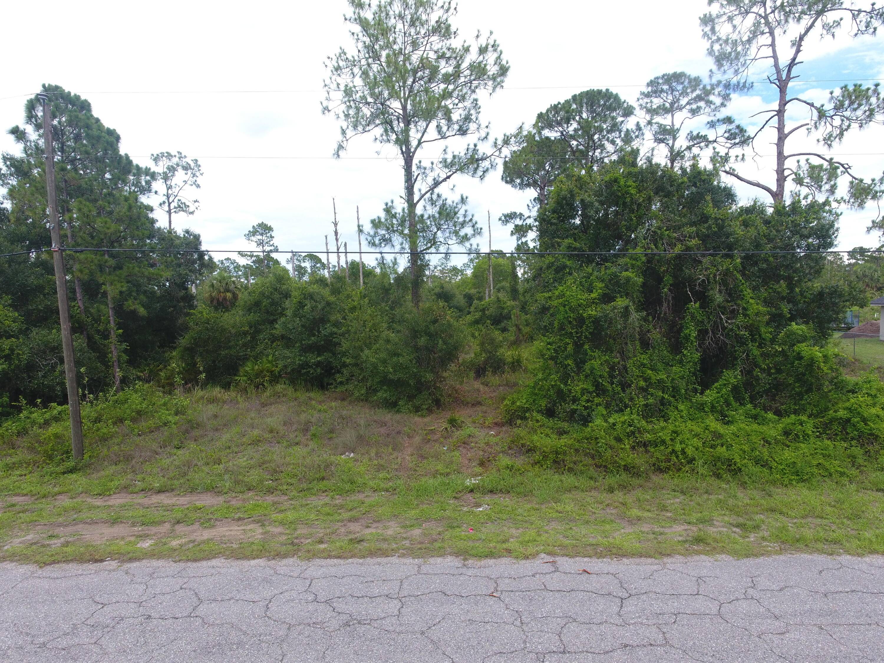 Opportunity awaits with this desirable quarter acre buildable lot in Lehigh Acres !