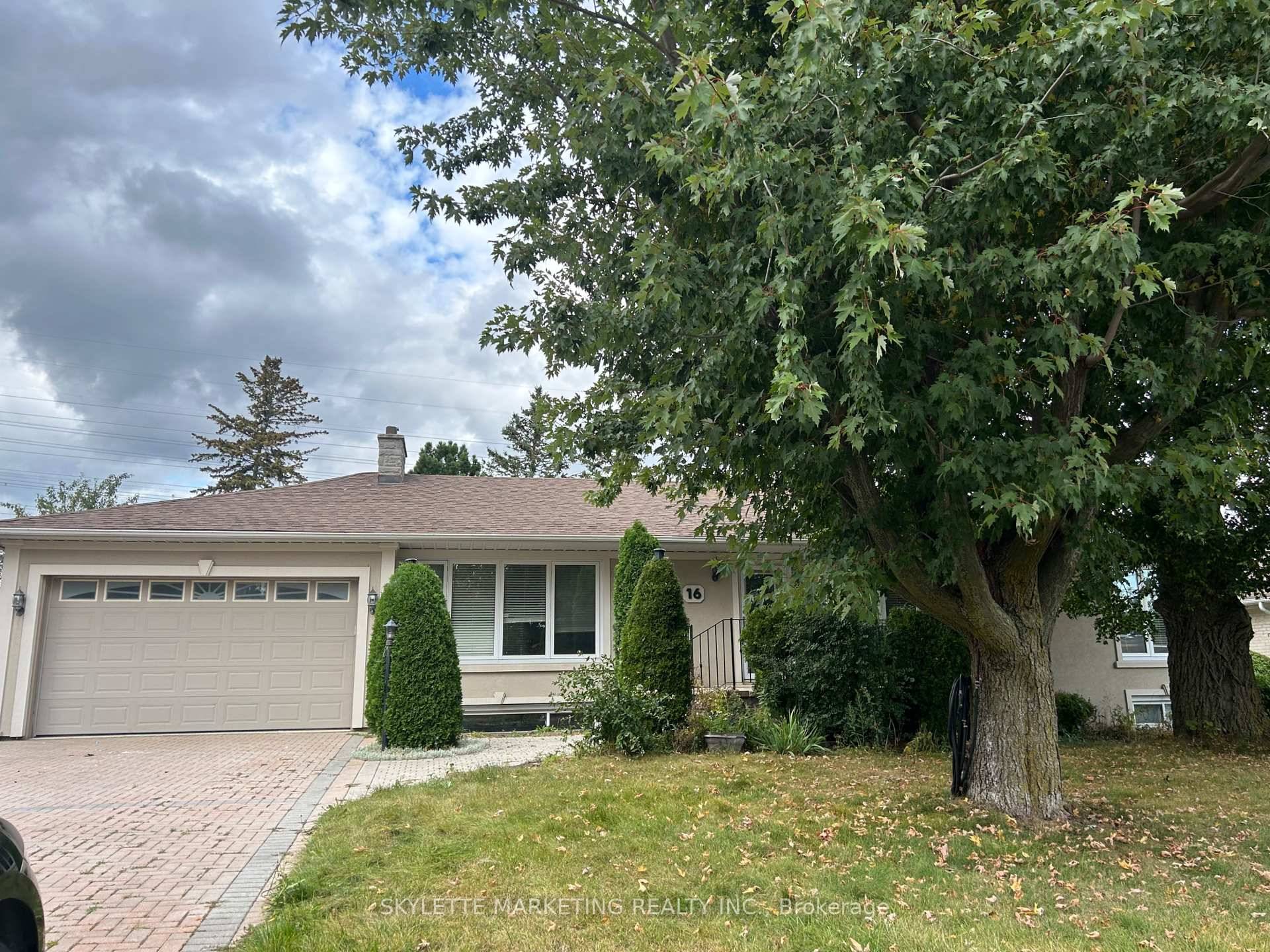 A beautiful amp ; really spacious bungalow on the basement level Around 1250 square feet located in a Prime location Yonge highway 7 Area.
