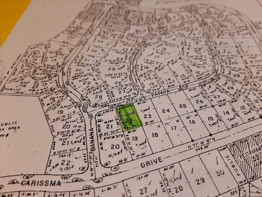 GREGORY TOWN VACANT LOT Land Eleuthera