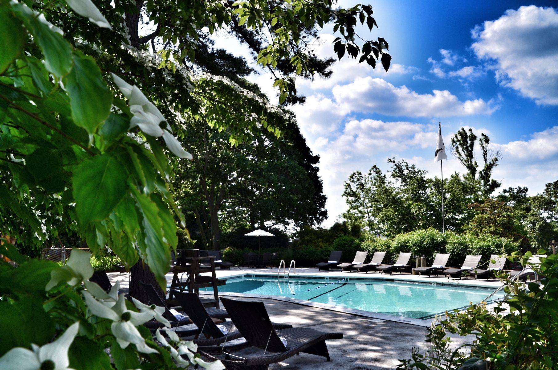 Hamptons Year Round or Summer Rental!