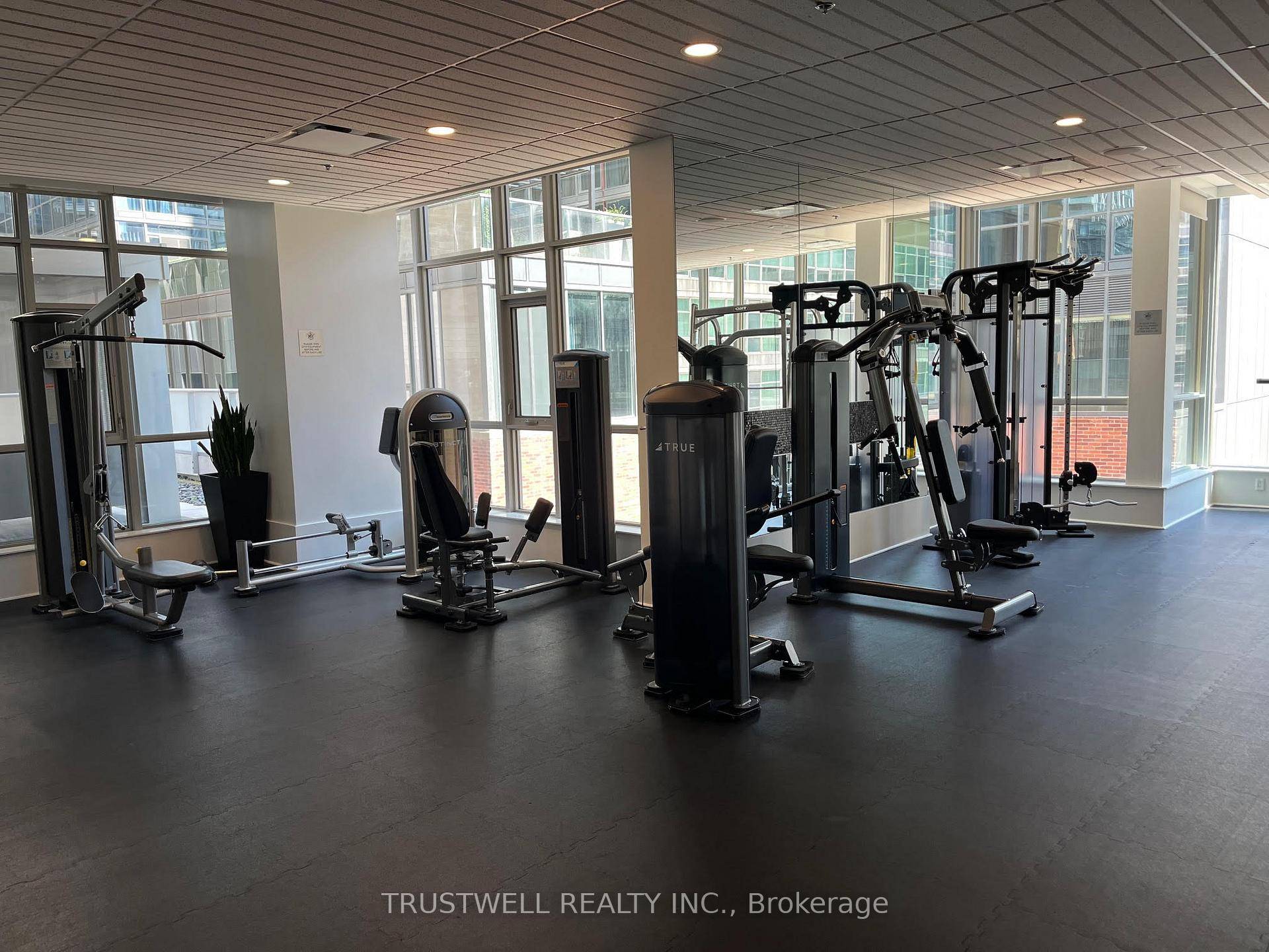 Welcome to M5V Condos 375 King Street West, Toronto Live in the Heart of the Entertainment District.