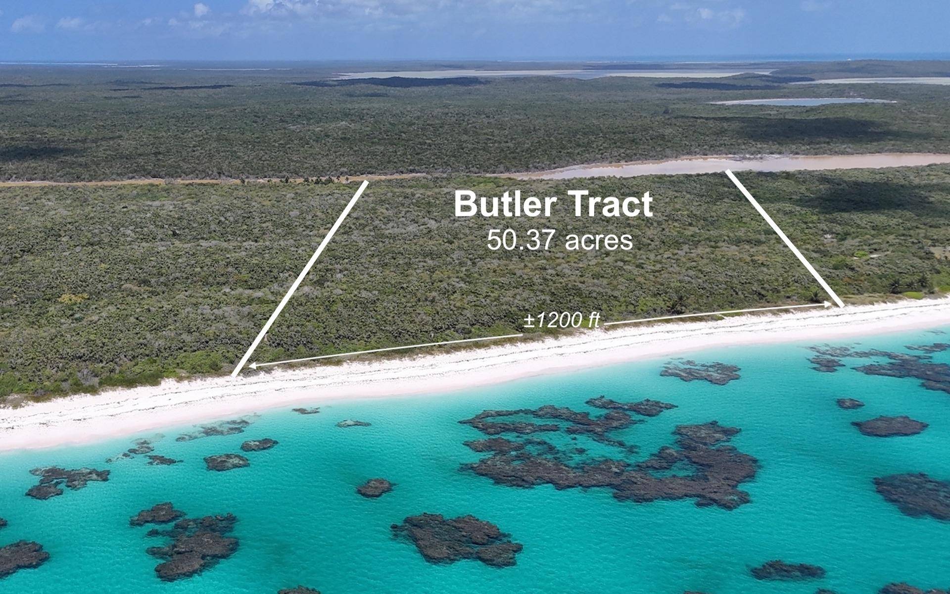 BUTLER TRACT, GREENWOOD Land Cat-Island