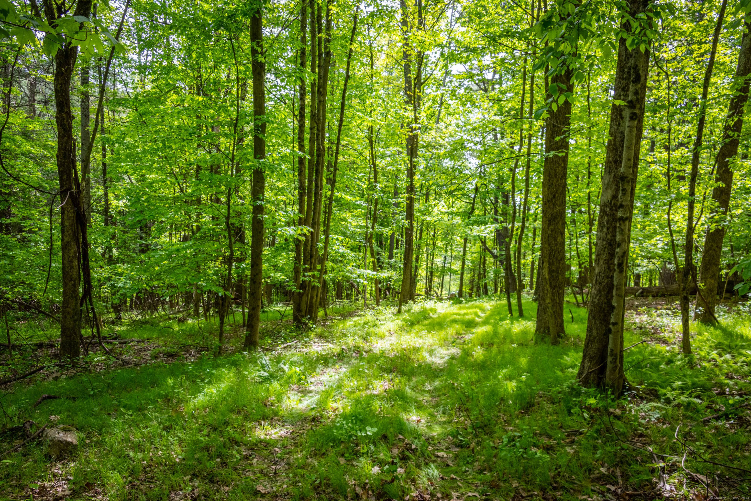 This incredible 34 acre parcel has a new access from the town road ; this lot has been subdivided from a former 72 acre parcel.