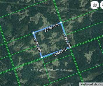 100 Acres of Untouched Wilderness for Adventure Seekers, Hunters, and Nature Enthusiasts !