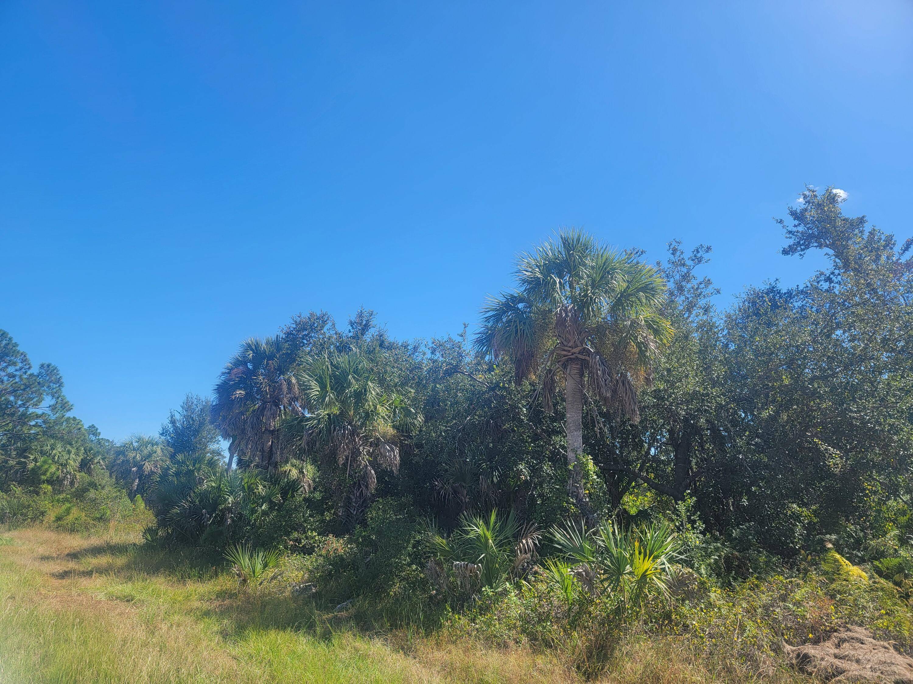 BEAUTIFUL LOT TO BUILD YOUR DREAM HOME.