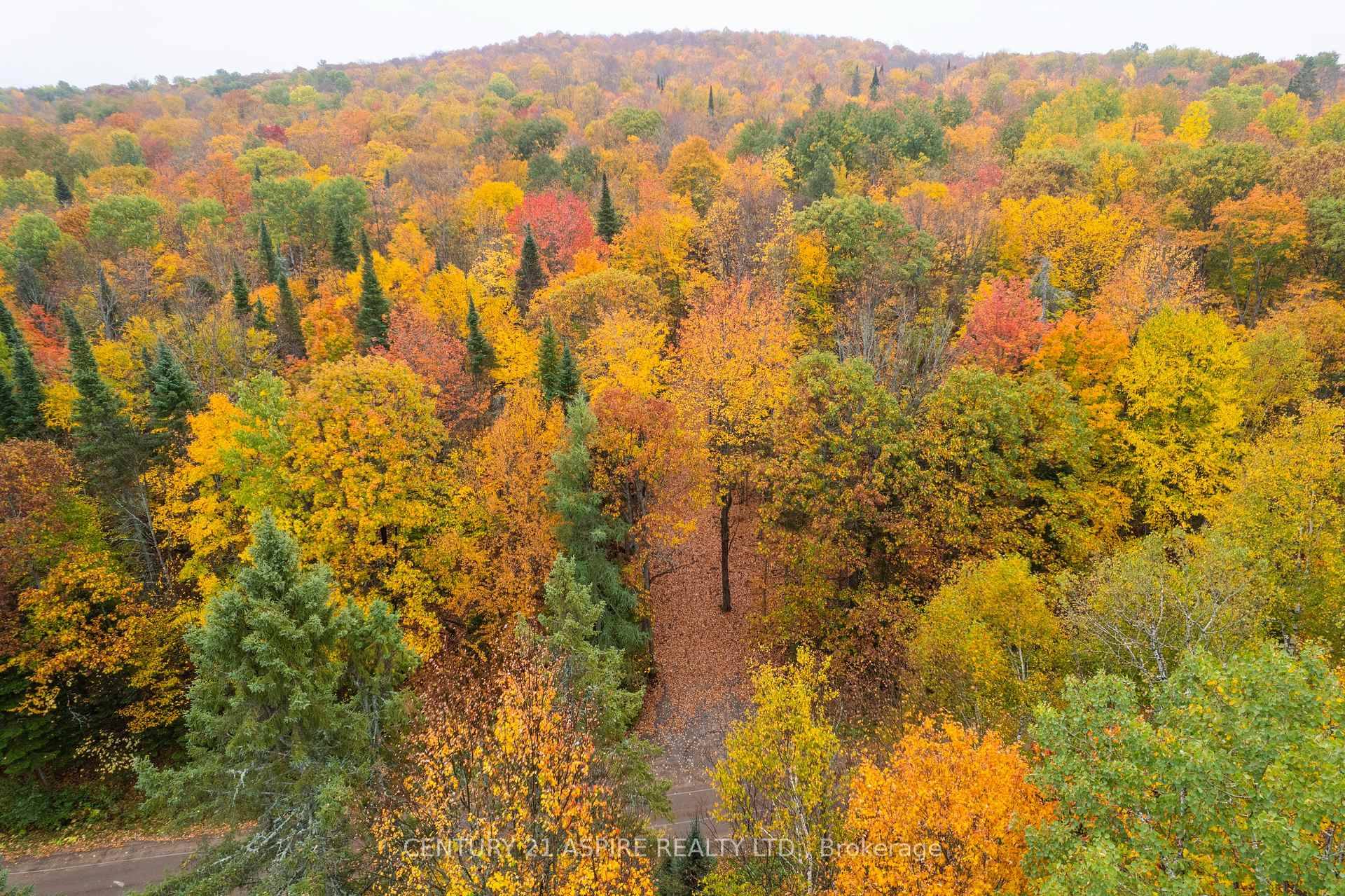 Discover the perfect place to build your dream home or weekend private cabin retreat on this 2.