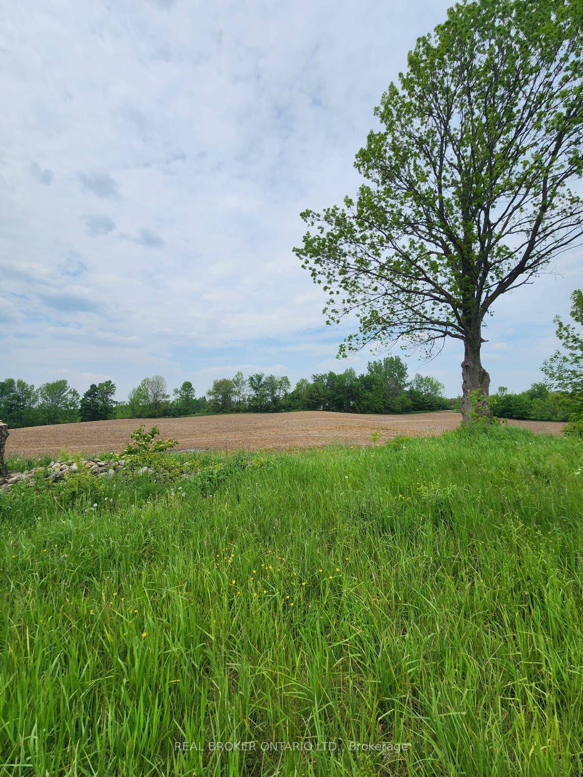 Build your dream home on this almost 2.