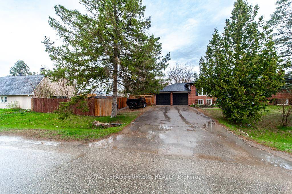 Beautifully Renovated Bungalow with Bright Walk Up Basement !