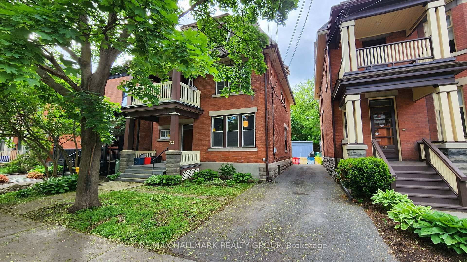 A perfect tree level perch in the Glebe.