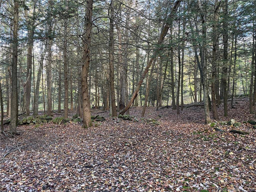 Approved building lot with a completed survey and site plans, including wetland delineation and a forthcoming report.