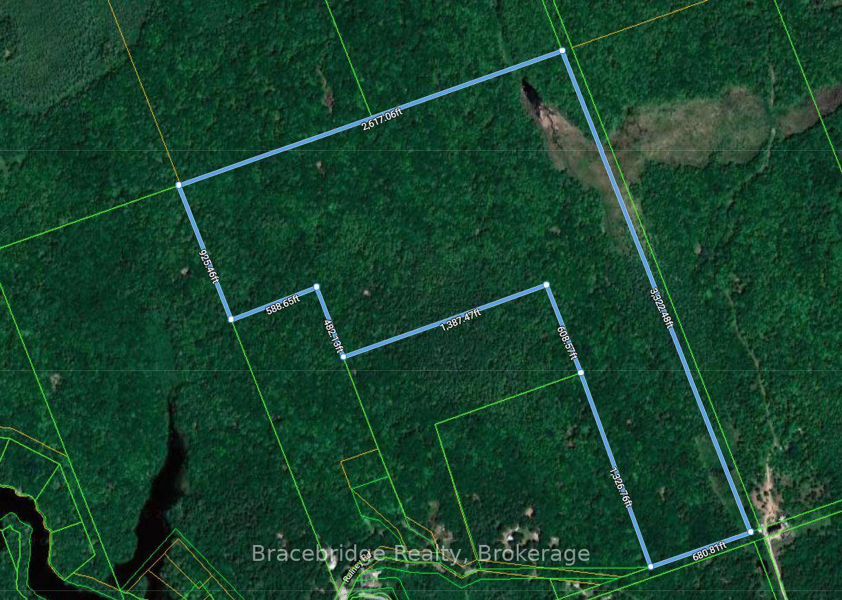 Explore this exceptional 106 acre woodland retreat, full of mature trees, conveniently located just 15 minutes from Bracebridge.