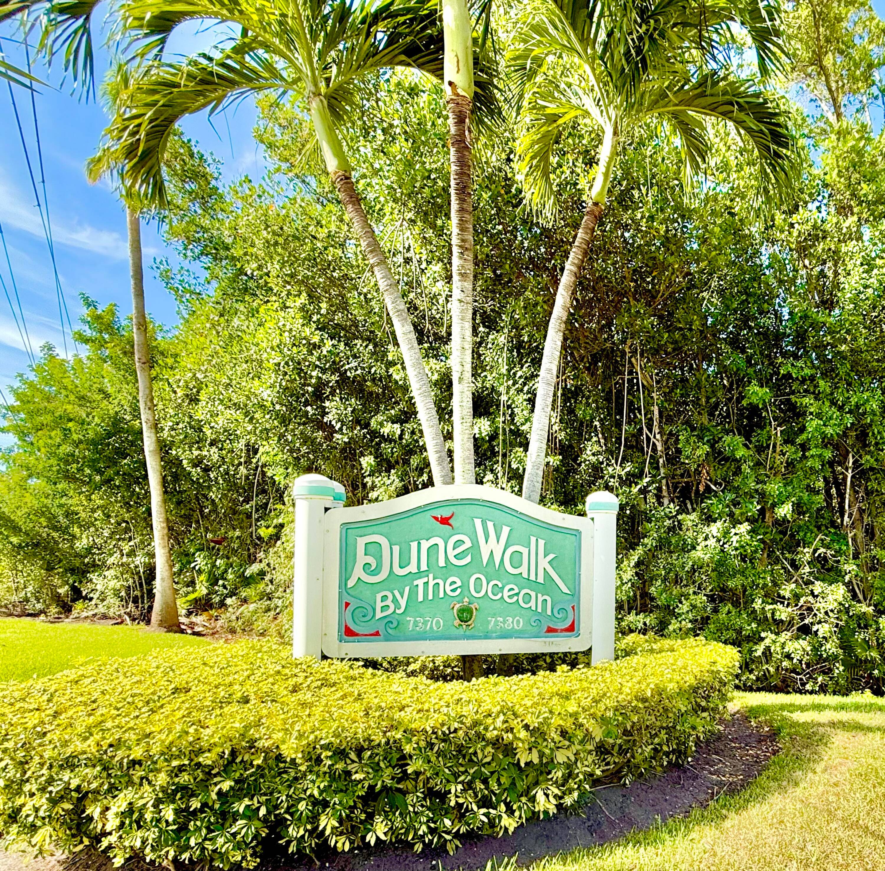 Experience the Beach Life !