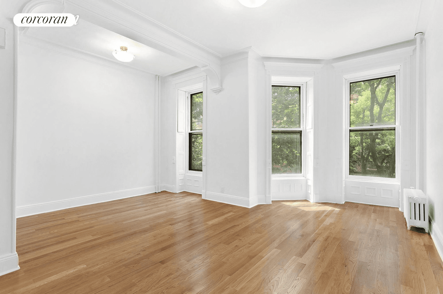 Large one and a half bedroom apartment in Prospect Heights.