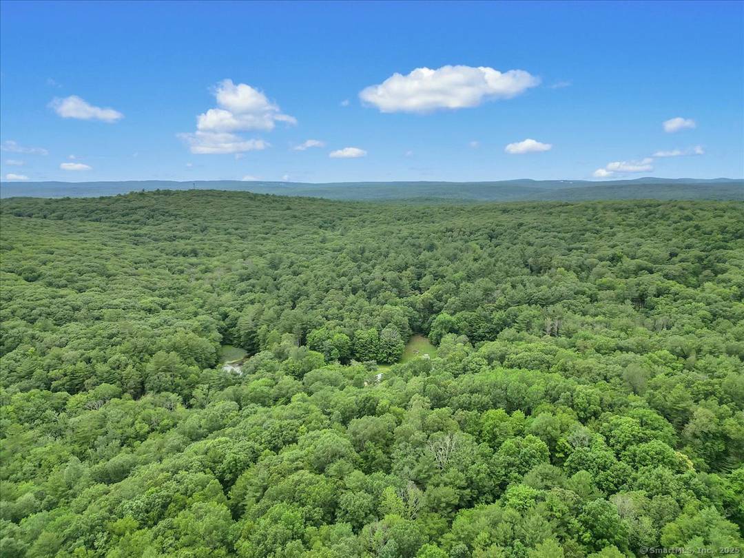164 tranquil acres on two adjoining parcels of mature evergreen and hardwood forest with hiking, horseback riding, or ATV trails throughout.