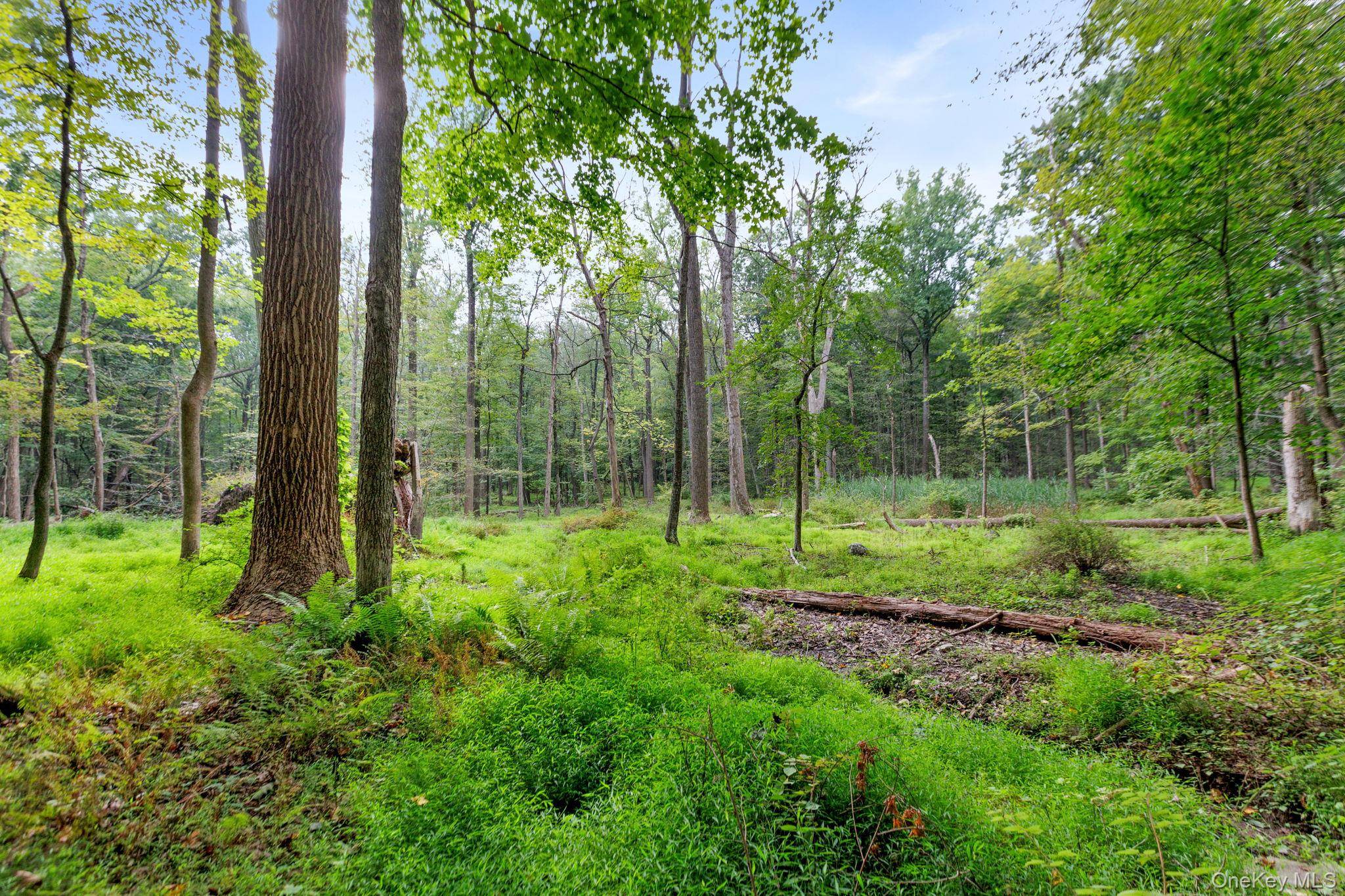 Nestled among the prestigious estate community within Bedford Corners awaits over 8 acres of undeveloped land.