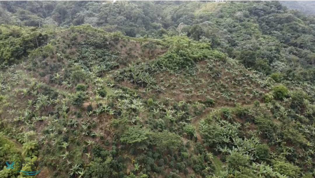 BO. CERROTE House Las-Marias