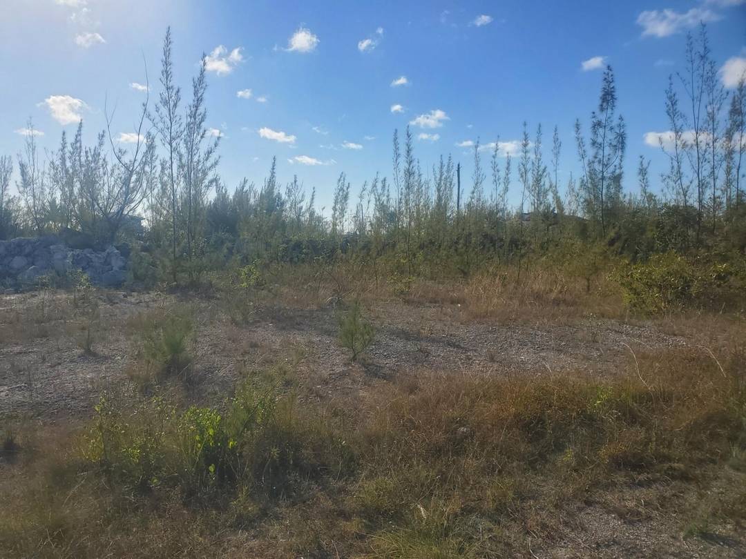 DERBY CANALFRONT LOT Land Grand-Bahama-Freeport