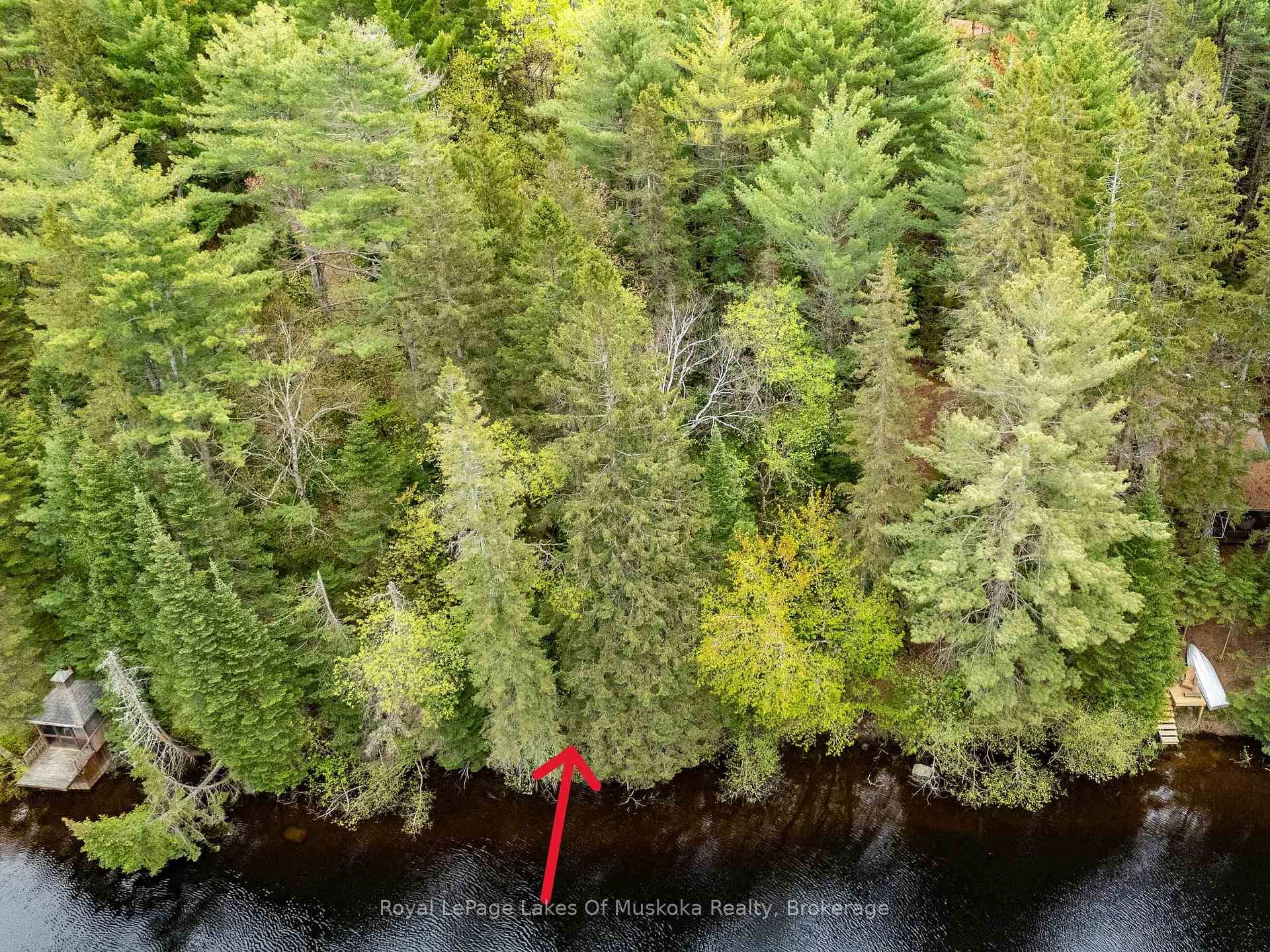 I'll bet you thought waterfront property in Muskoka was just a dream for you.