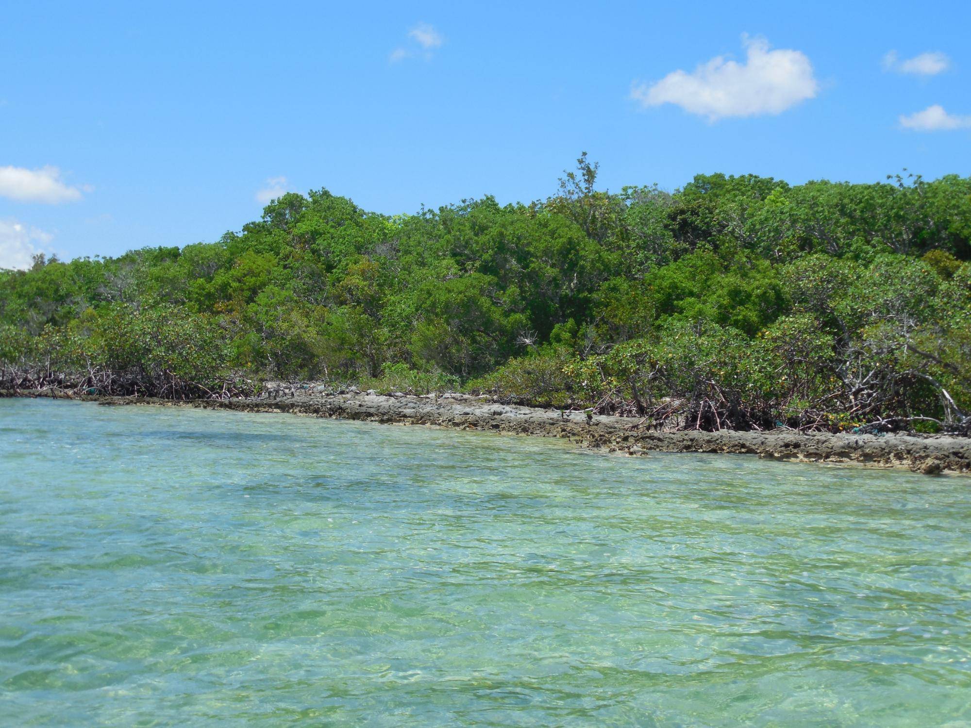 NEAR CASUARINA POINT Land Abaco