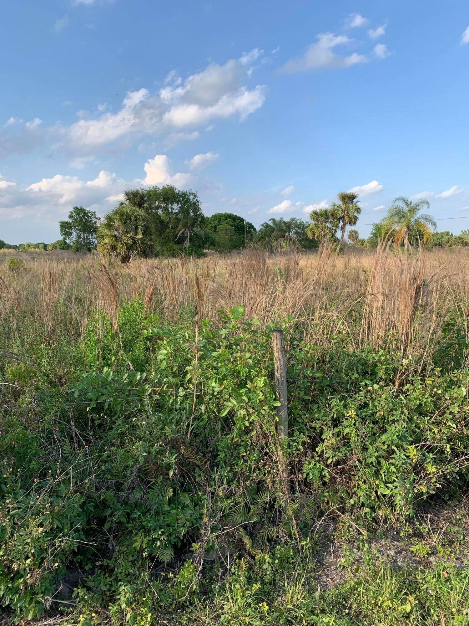 GREAT OPPORTUNITY 6. 35 ACRES LAST OF THE ACREAGE AVAILABLE IN PB COUNTY.