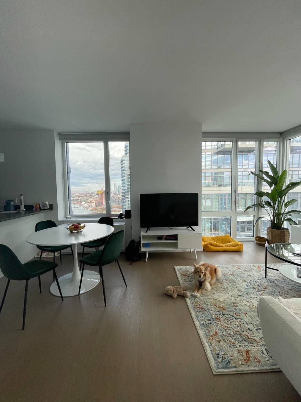 RENT STABILIZED ! ! ! Corner and Spacious 1 bedroom apartment with Sunny North Eastern exposure with City and WATER VIEWS plus washer dryer in unit.