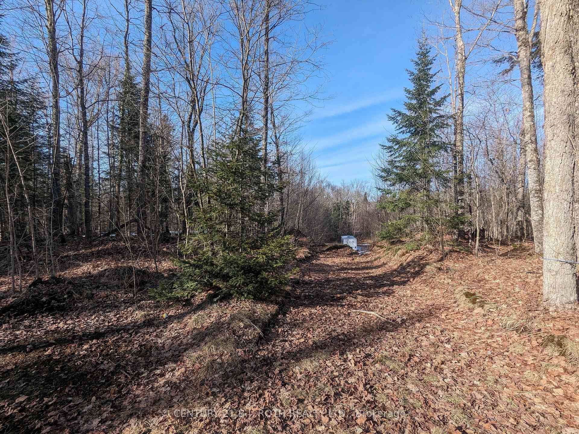 Over 33 ACRES ! Vacant Land on Highway 118 between Maple Lake and Green Lake.