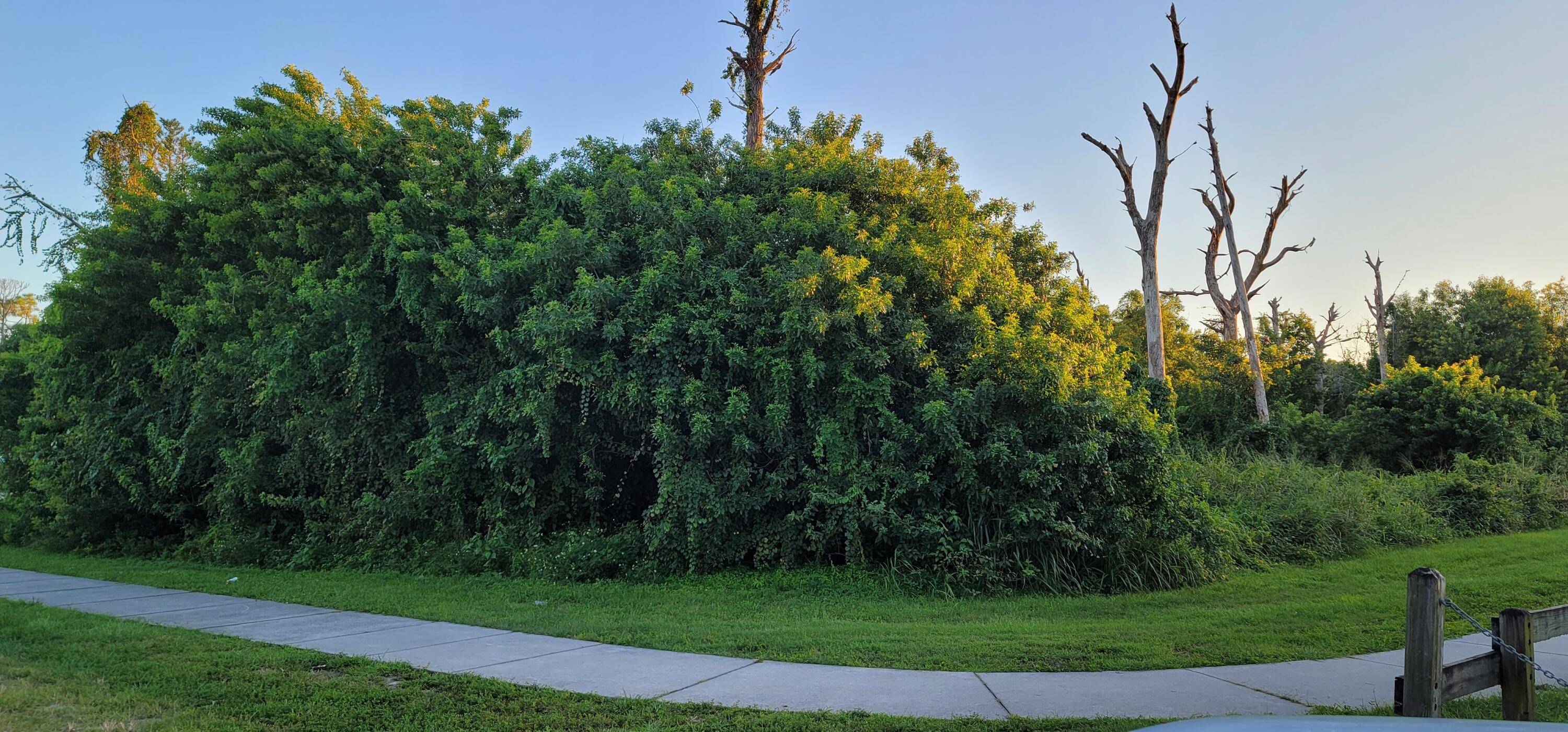 0 Unassigned Land Palm Beach
