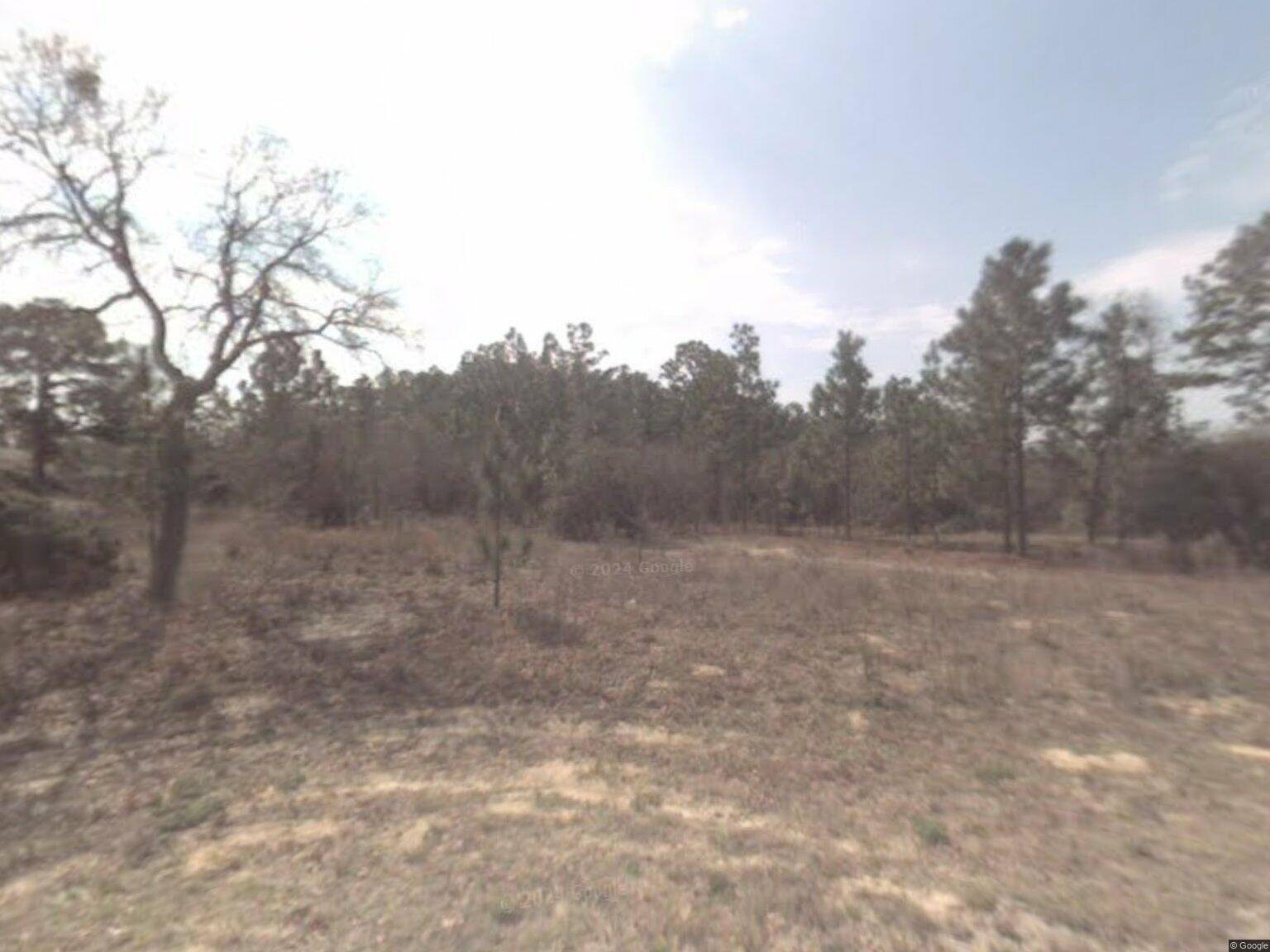 Land waiting for you in Citrus Springs FL !