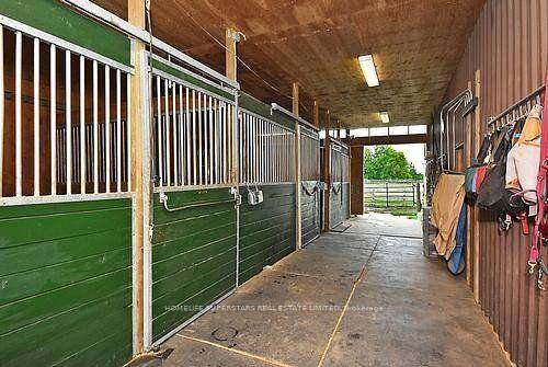 We are close to the Orangeville Hwy 9 and Airport Rd, offering a Horse Farm Lease.