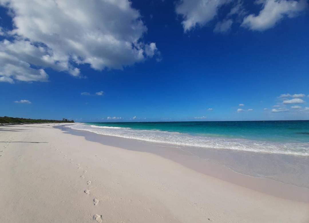 OCEAN DRIVE, CAT ISLAND Land Cat-Island