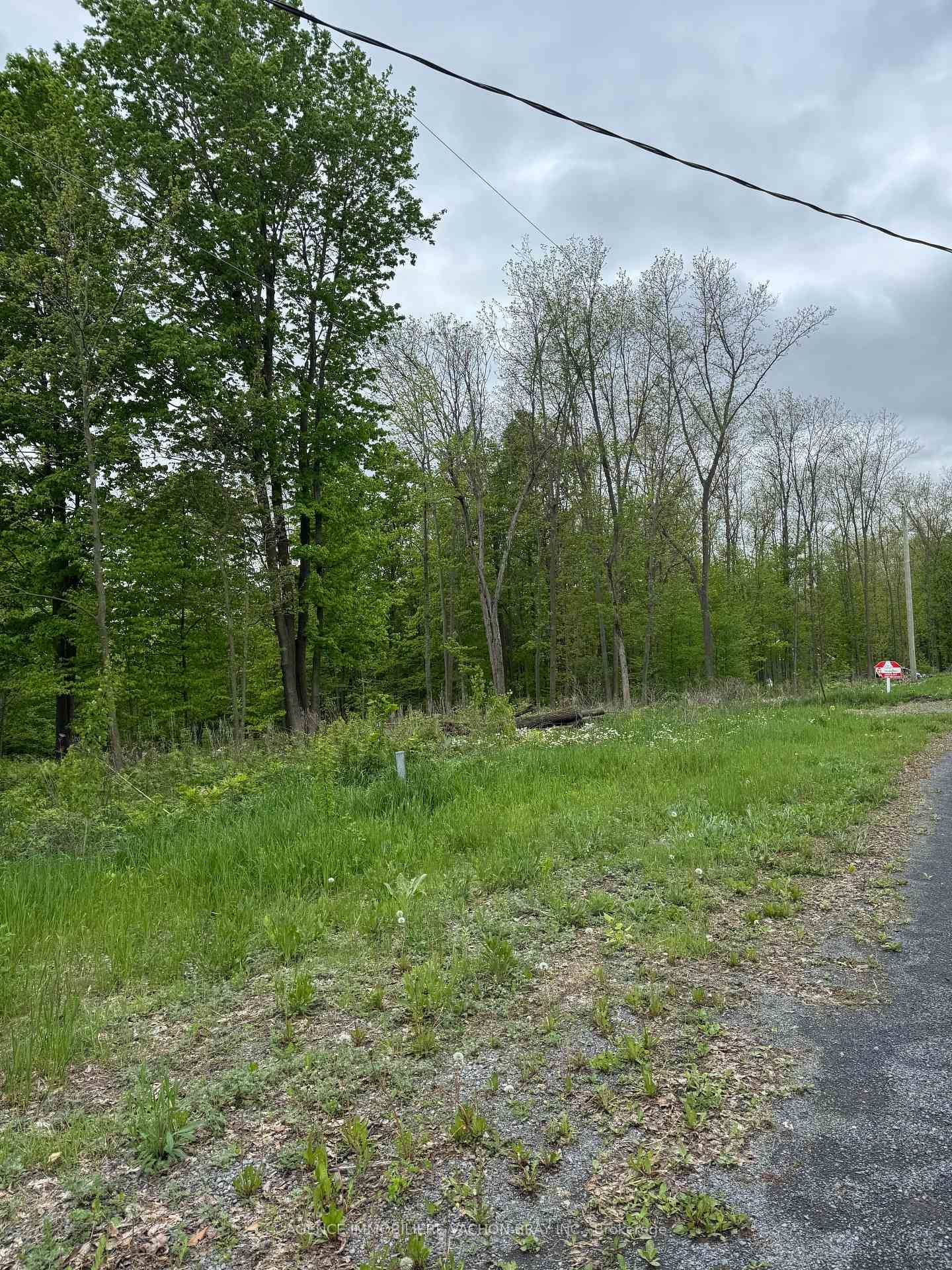 BUILD YOUR DREAM HOME LANCASTER HEIGHTS Treed lot 202, 9 x 376.