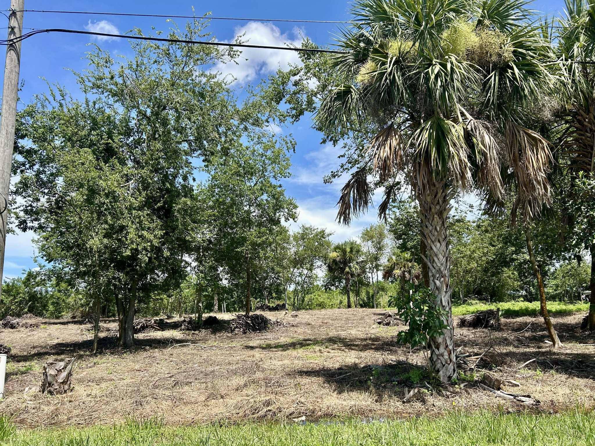 Build your dream home on this prime vacant lot in Moore Haven !