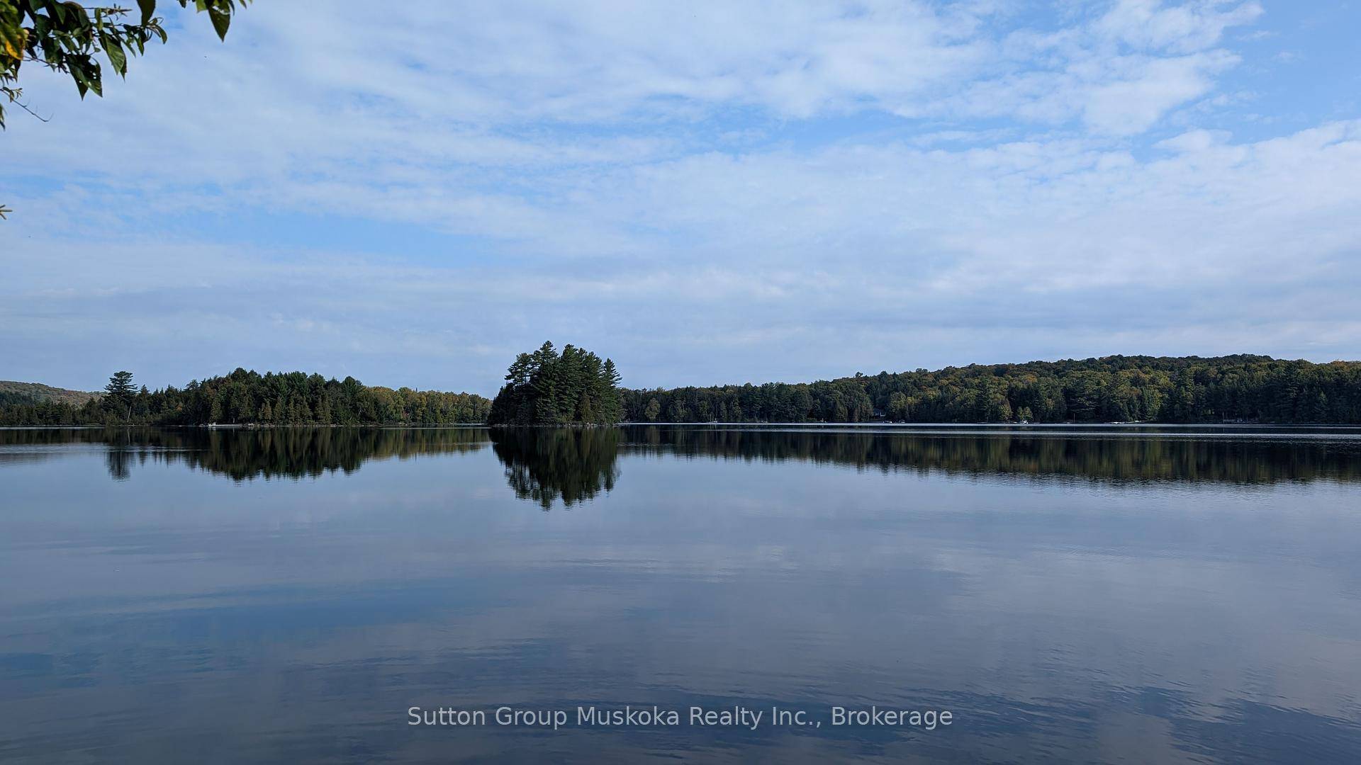 Seeking a large lot with exceptional privacy !