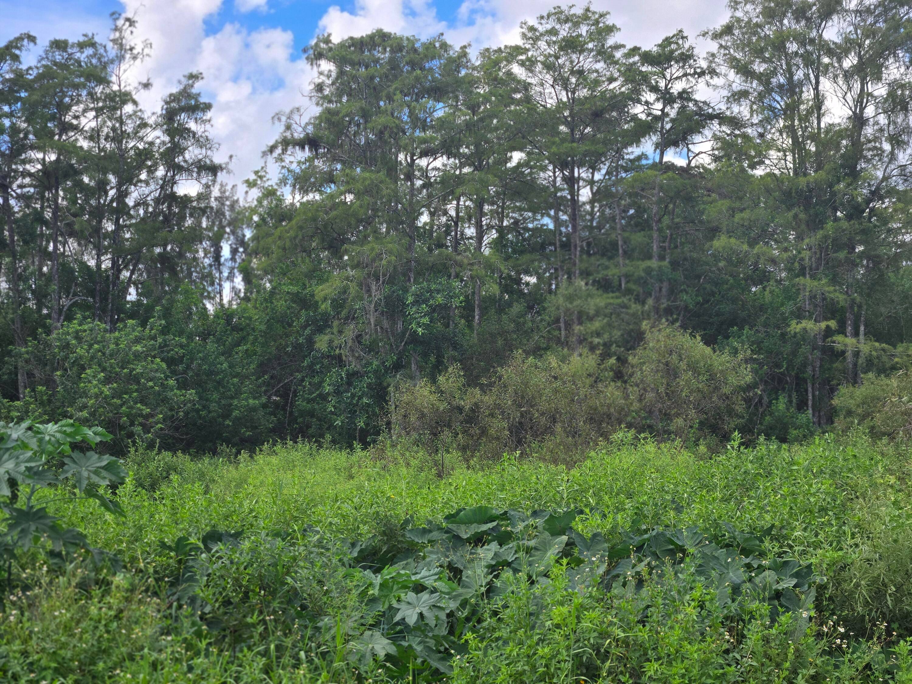 Great opportunity to own land in a growing neighborhood.